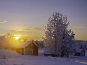 20260118-DSCF6510