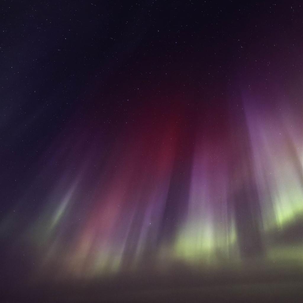 20260111-3L9A6738-CR3_DxO_DeepPRIME