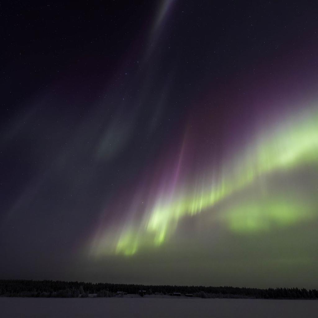 20260111-3L9A6780-CR3_DxO_DeepPRIME