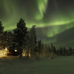 20260111-DSR_1782-CR2_DxO_DeepPRIME