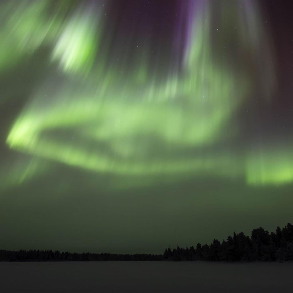 20260111-DSR_7972-CR2_DxO_DeepPRIME