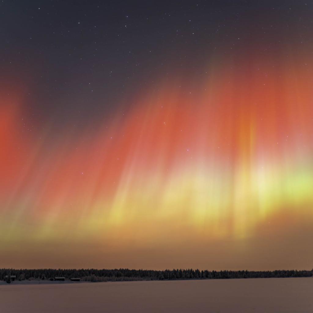 20260119-DSCF2046-RAF_DxO_DeepPRIME