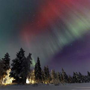 20260119-DSR_8090-CR2_DxO_DeepPRIME