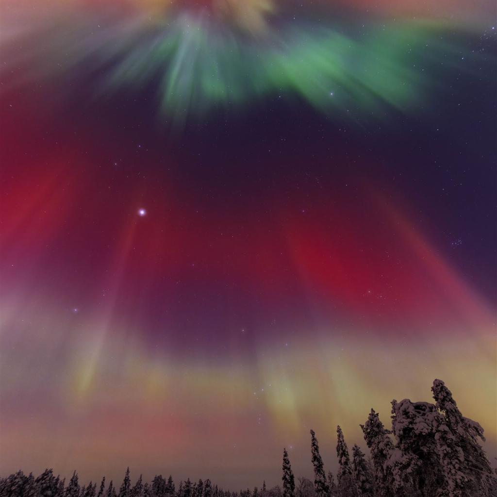 20260120-3L9A0723-CR3_DxO_DeepPRIME