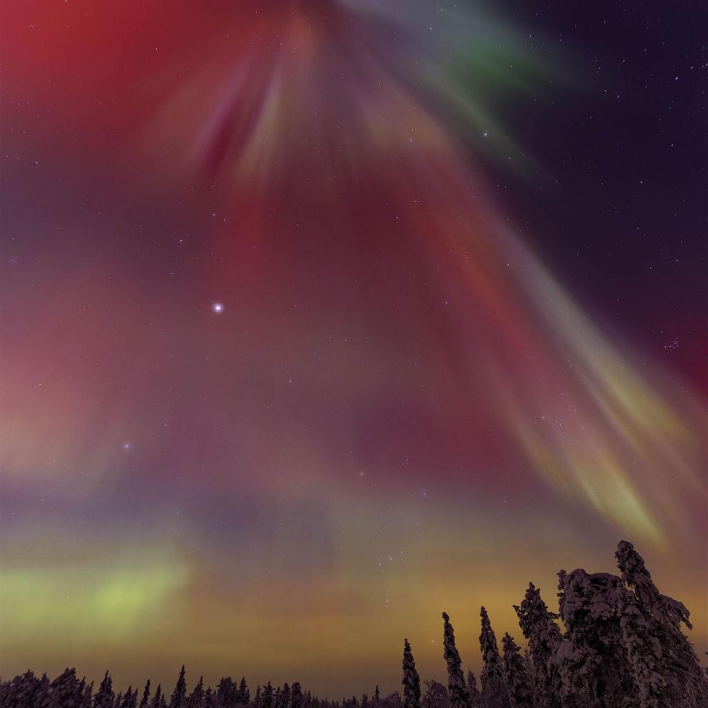 20260120-3L9A0785-CR3_DxO_DeepPRIME