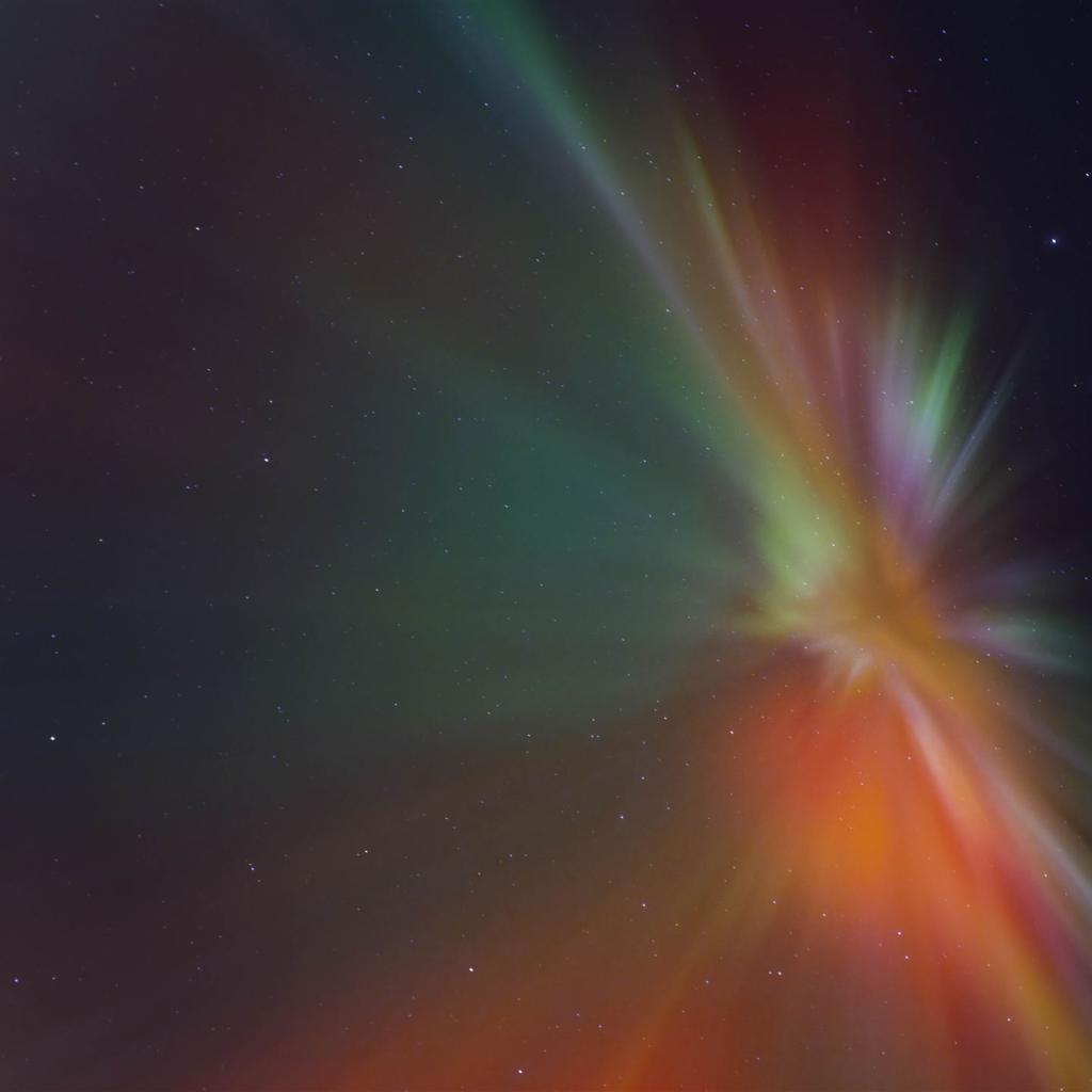 20260120-DSCF2143-RAF_DxO_DeepPRIME