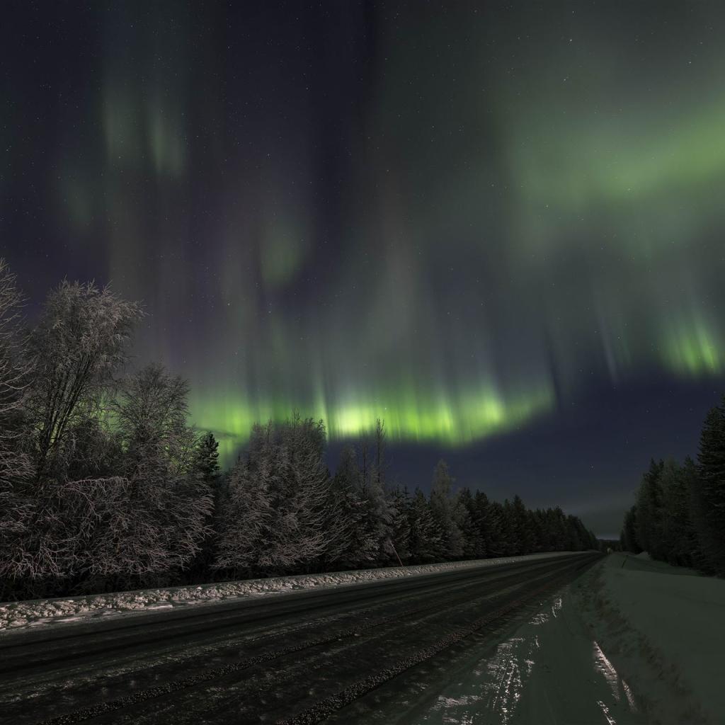 20260110-3L9A6600-CR3_DxO_DeepPRIME