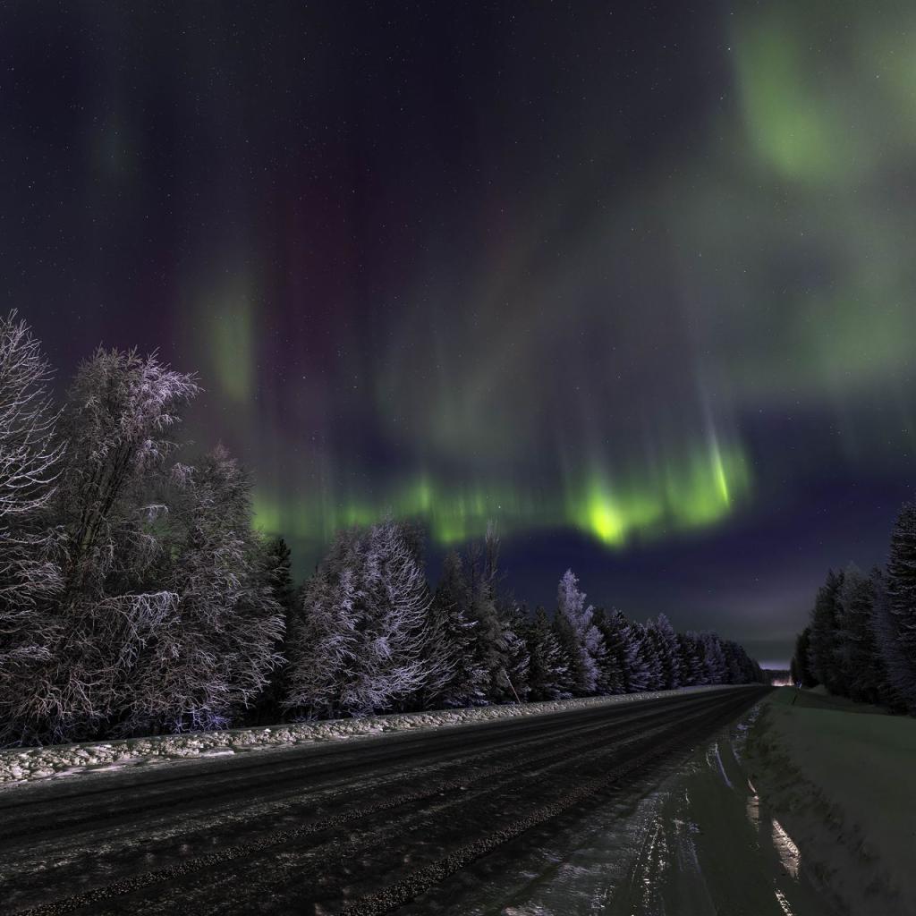 20260110-3L9A6601-CR3_DxO_DeepPRIME