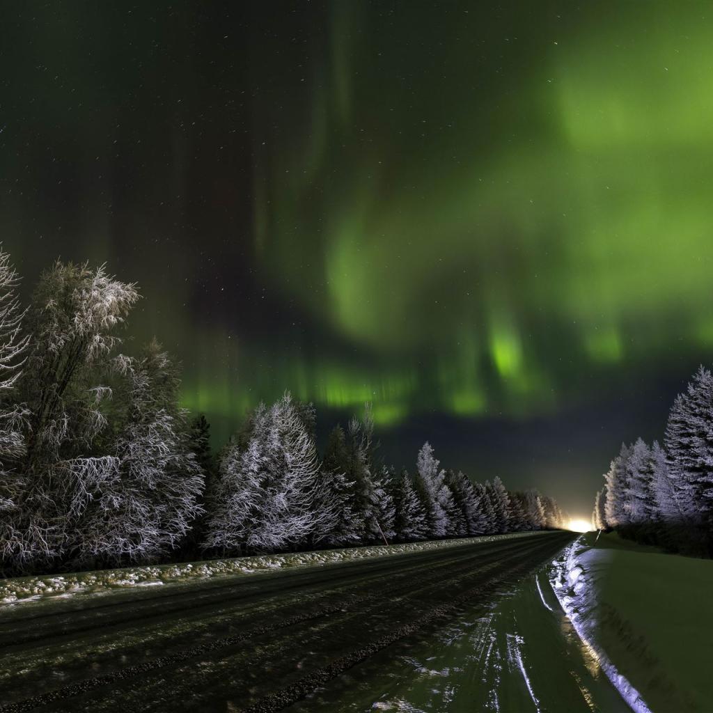 20260110-3L9A6602-CR3_DxO_DeepPRIME