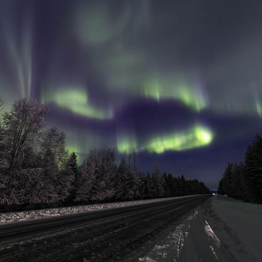 20260110-3L9A6606-CR3_DxO_DeepPRIME