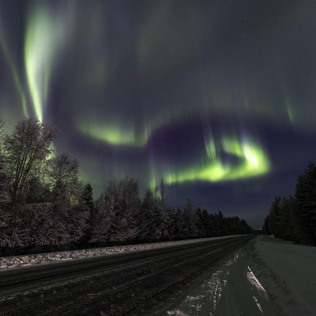 20260110-3L9A6607-CR3_DxO_DeepPRIME