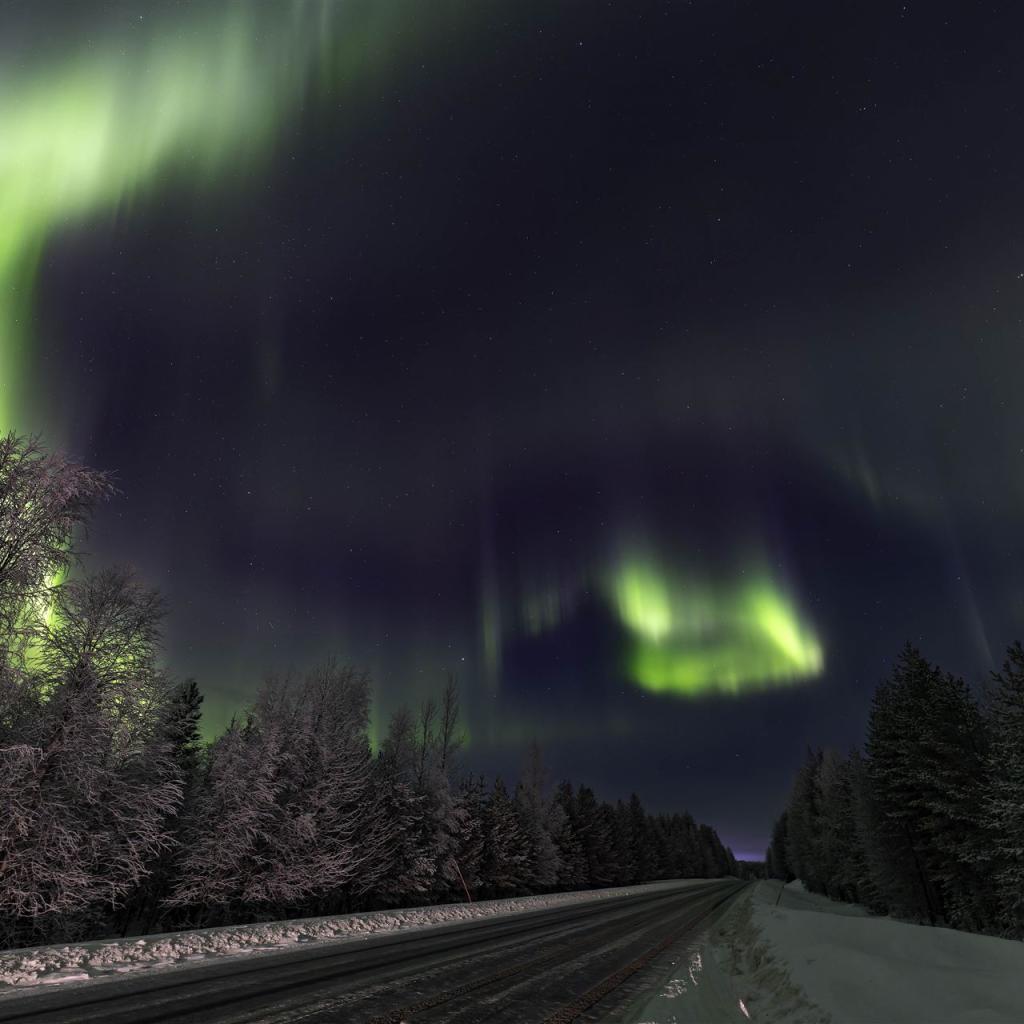 20260110-3L9A6608-CR3_DxO_DeepPRIME