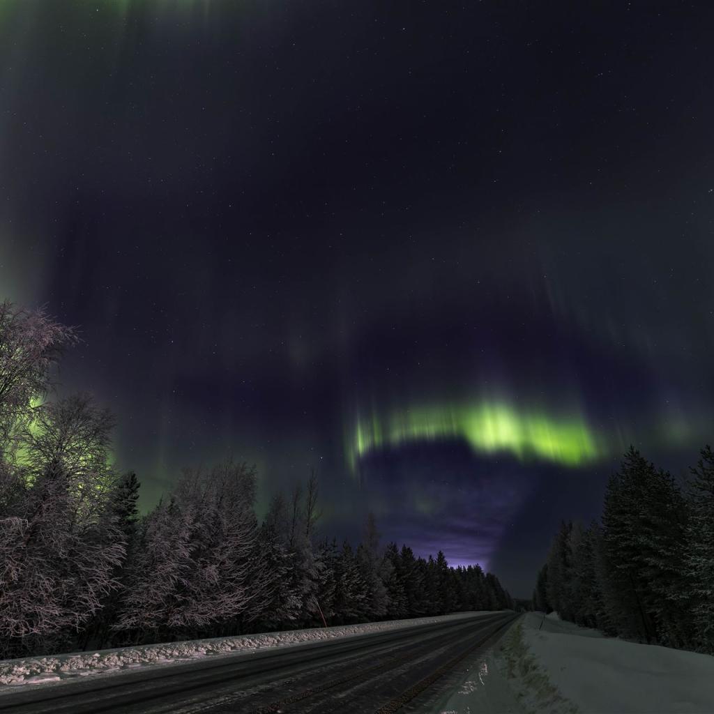 20260110-3L9A6609-CR3_DxO_DeepPRIME