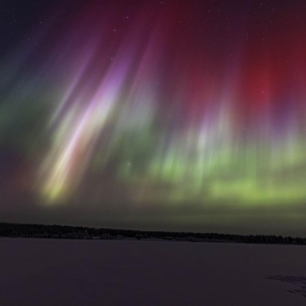 20260111-3L9A6735-CR3_DxO_DeepPRIME