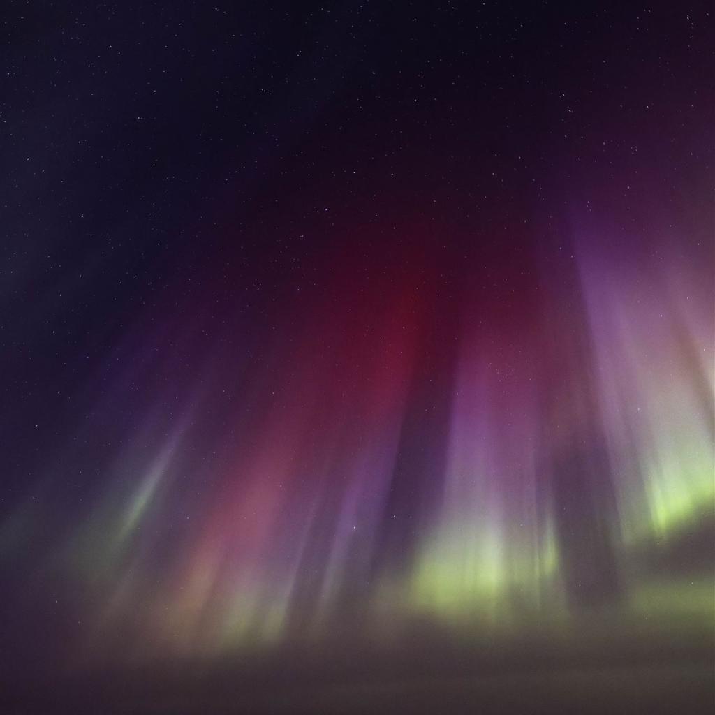 20260111-3L9A6738-CR3_DxO_DeepPRIME