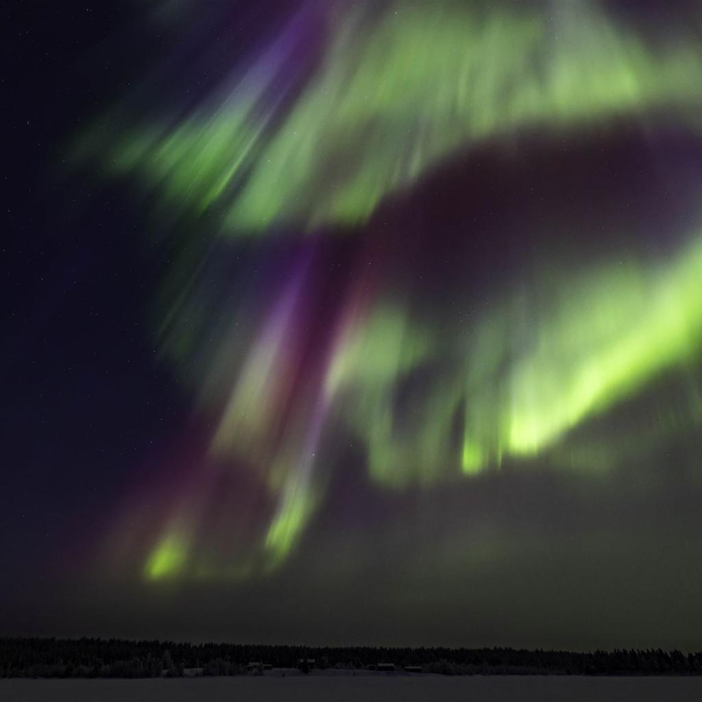 20260111-3L9A6801-CR3_DxO_DeepPRIME