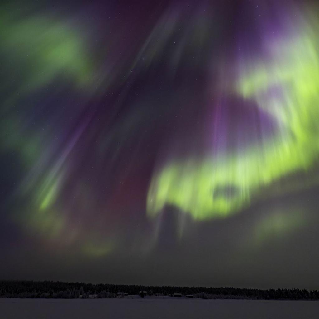 20260111-3L9A6826-CR3_DxO_DeepPRIME