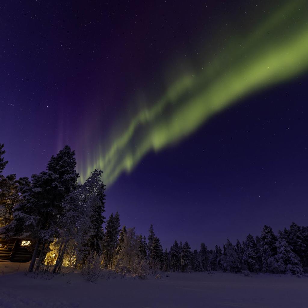 20260111-3L9A7751-CR3_DxO_DeepPRIME