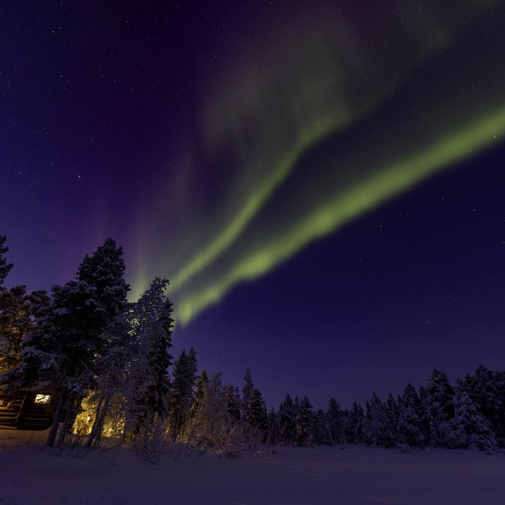 20260111-3L9A7765-CR3_DxO_DeepPRIME