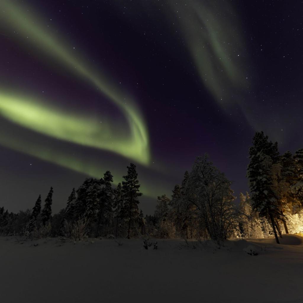 20260111-3L9A8471-CR3_DxO_DeepPRIME