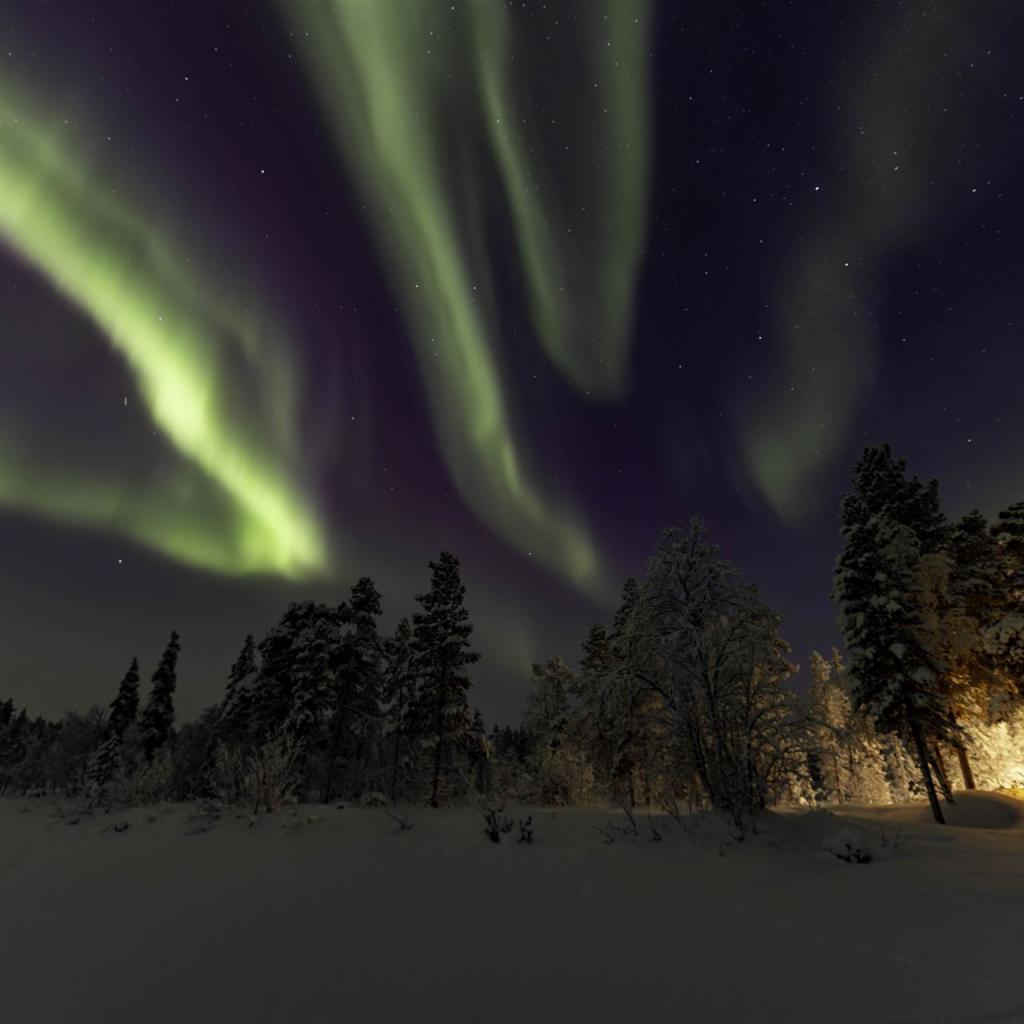 20260111-3L9A8510-CR3_DxO_DeepPRIME