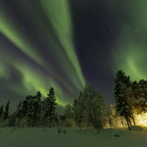 20260111-3L9A8530-CR3_DxO_DeepPRIME