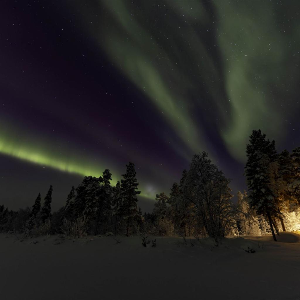 20260111-3L9A8586-CR3_DxO_DeepPRIME