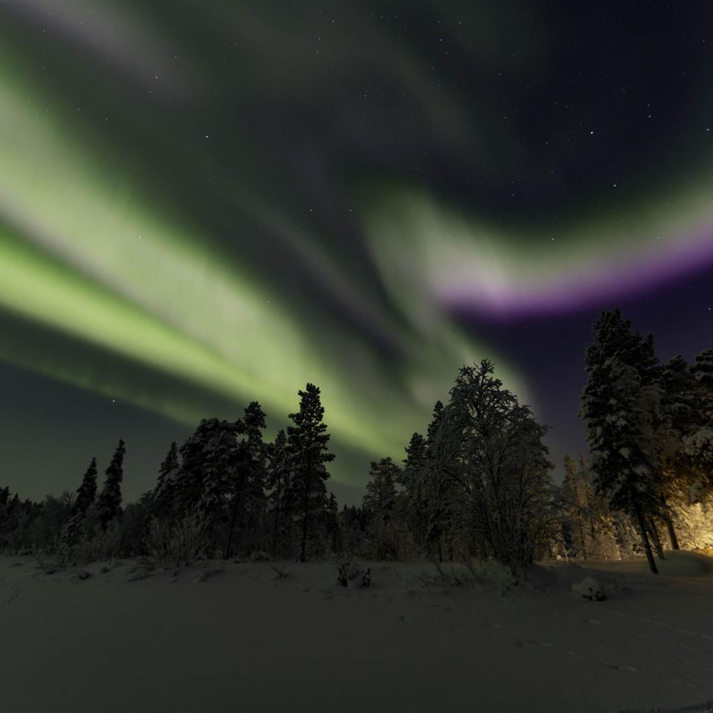 20260111-3L9A8621-CR3_DxO_DeepPRIME