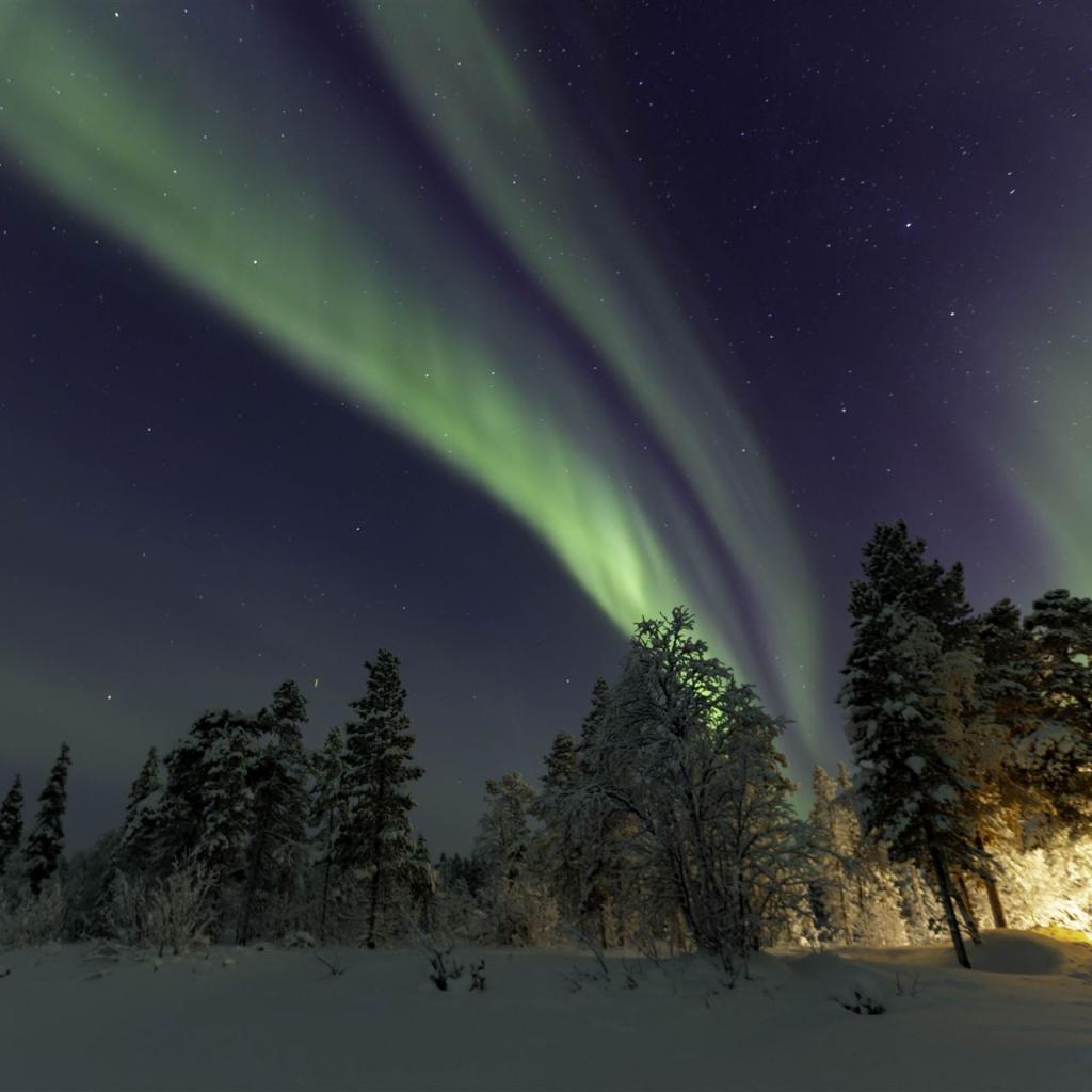 20260111-3L9A8754-CR3_DxO_DeepPRIME