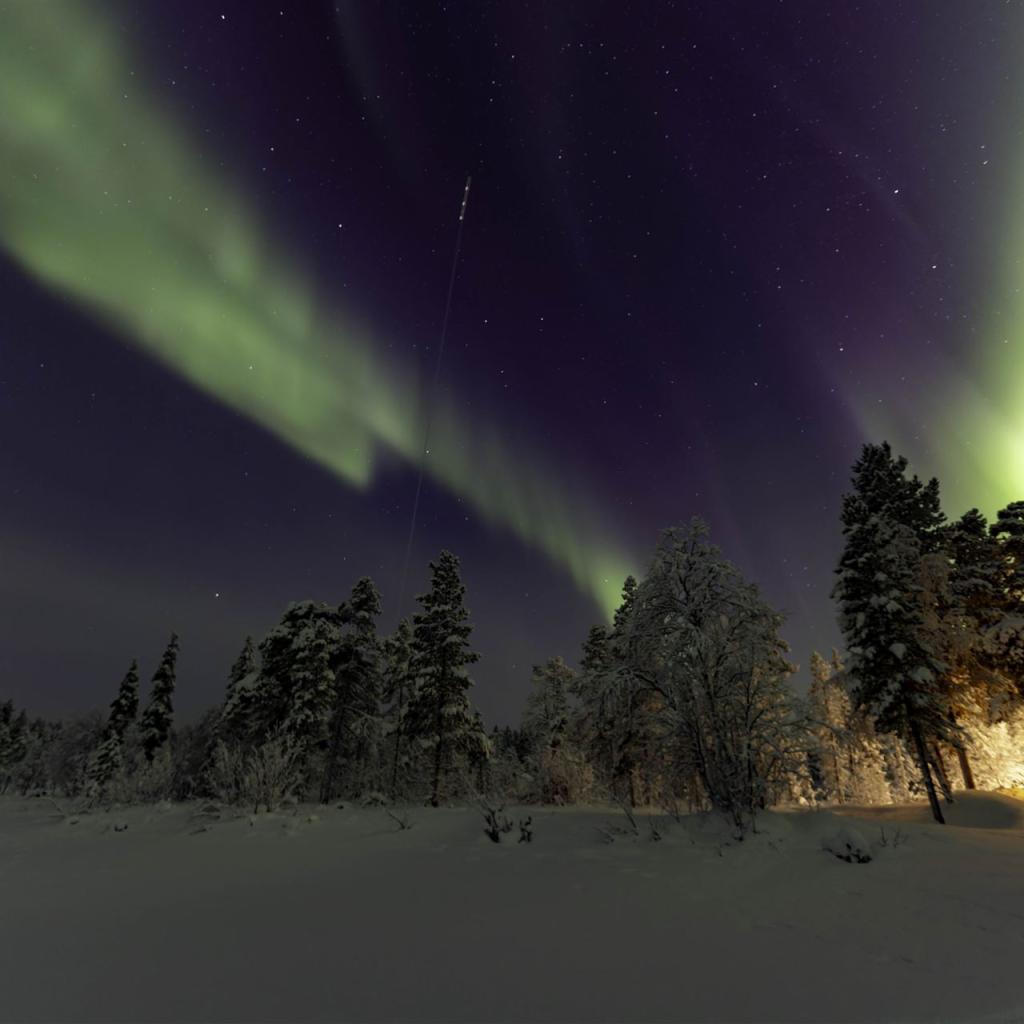 20260111-3L9A8768-CR3_DxO_DeepPRIME