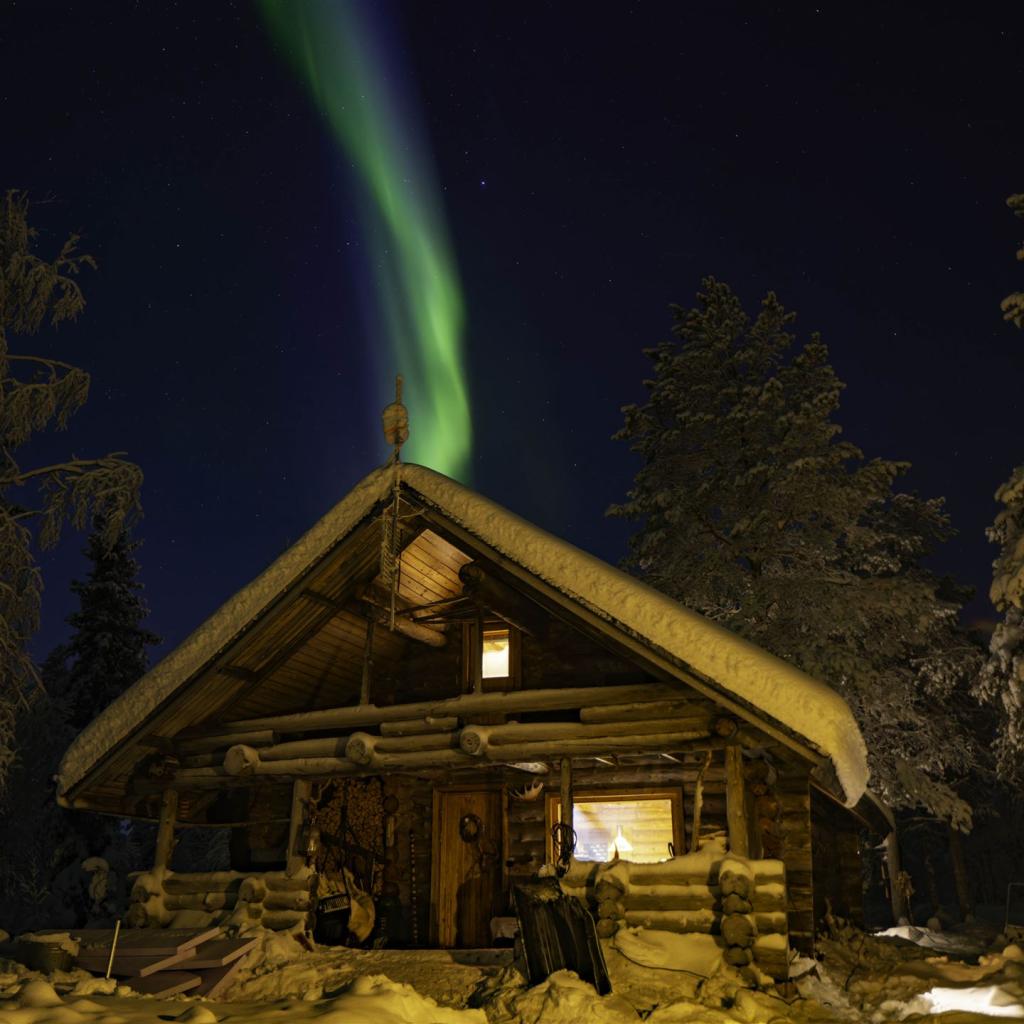 20260111-DSCF0756-RAF_DxO_DeepPRIME