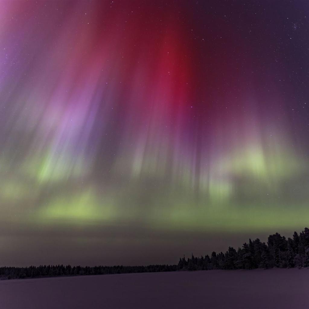 20260111-DSR_7793-CR2_DxO_DeepPRIME