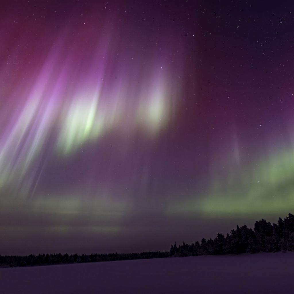 20260111-DSR_7830-CR2_DxO_DeepPRIME