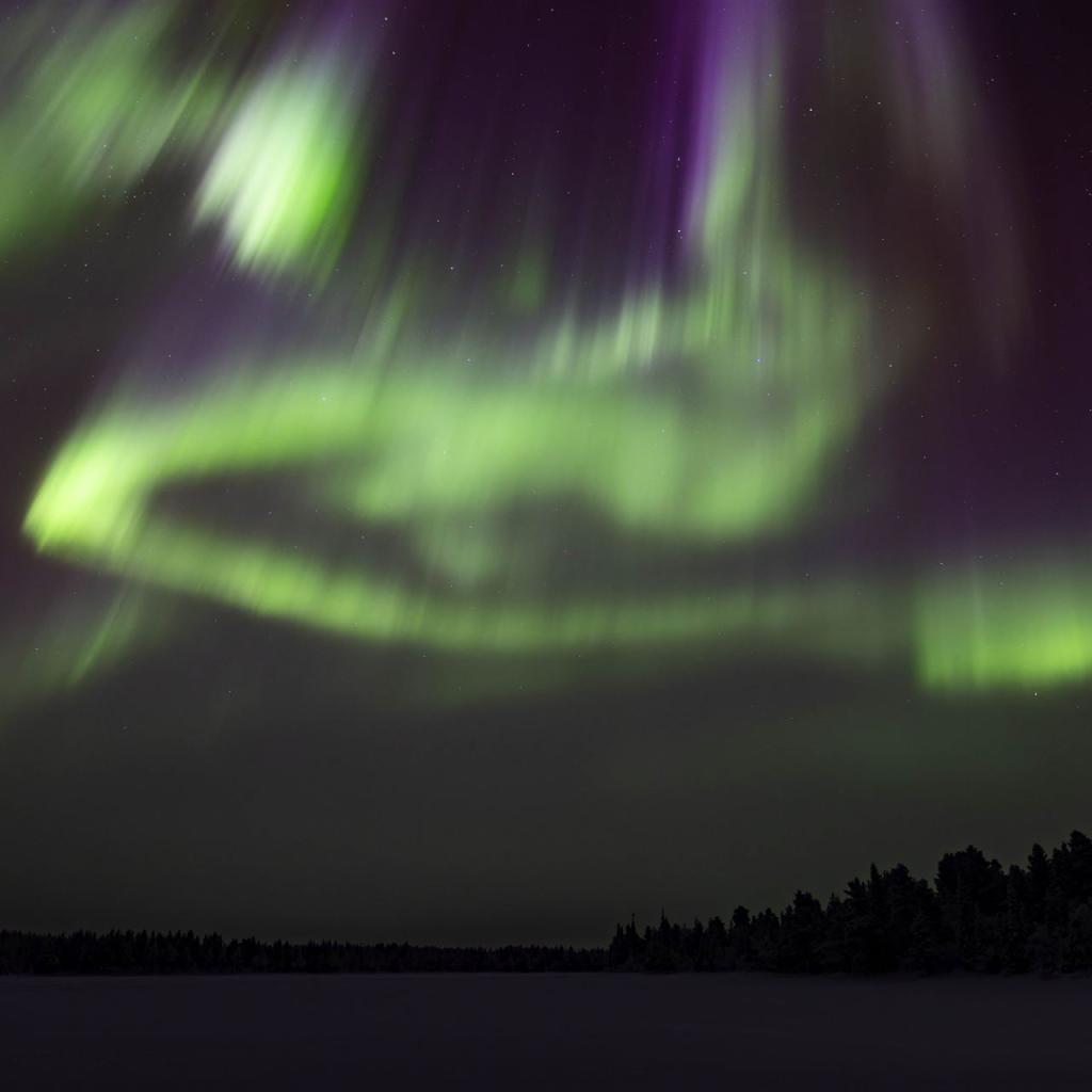 20260111-DSR_7972-CR2_DxO_DeepPRIME