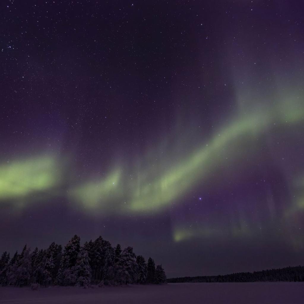 20260112-DSR_2636-CR2_DxO_DeepPRIME