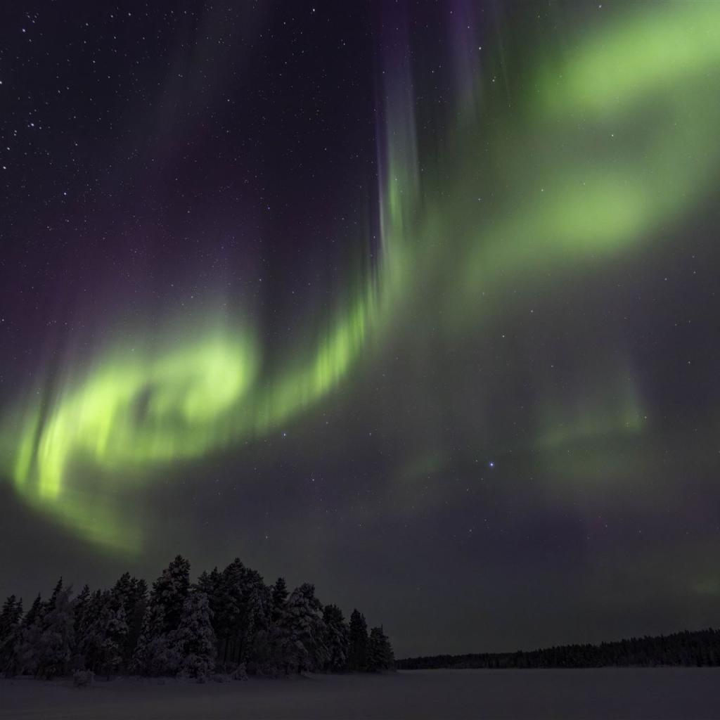 20260112-DSR_2738-CR2_DxO_DeepPRIME