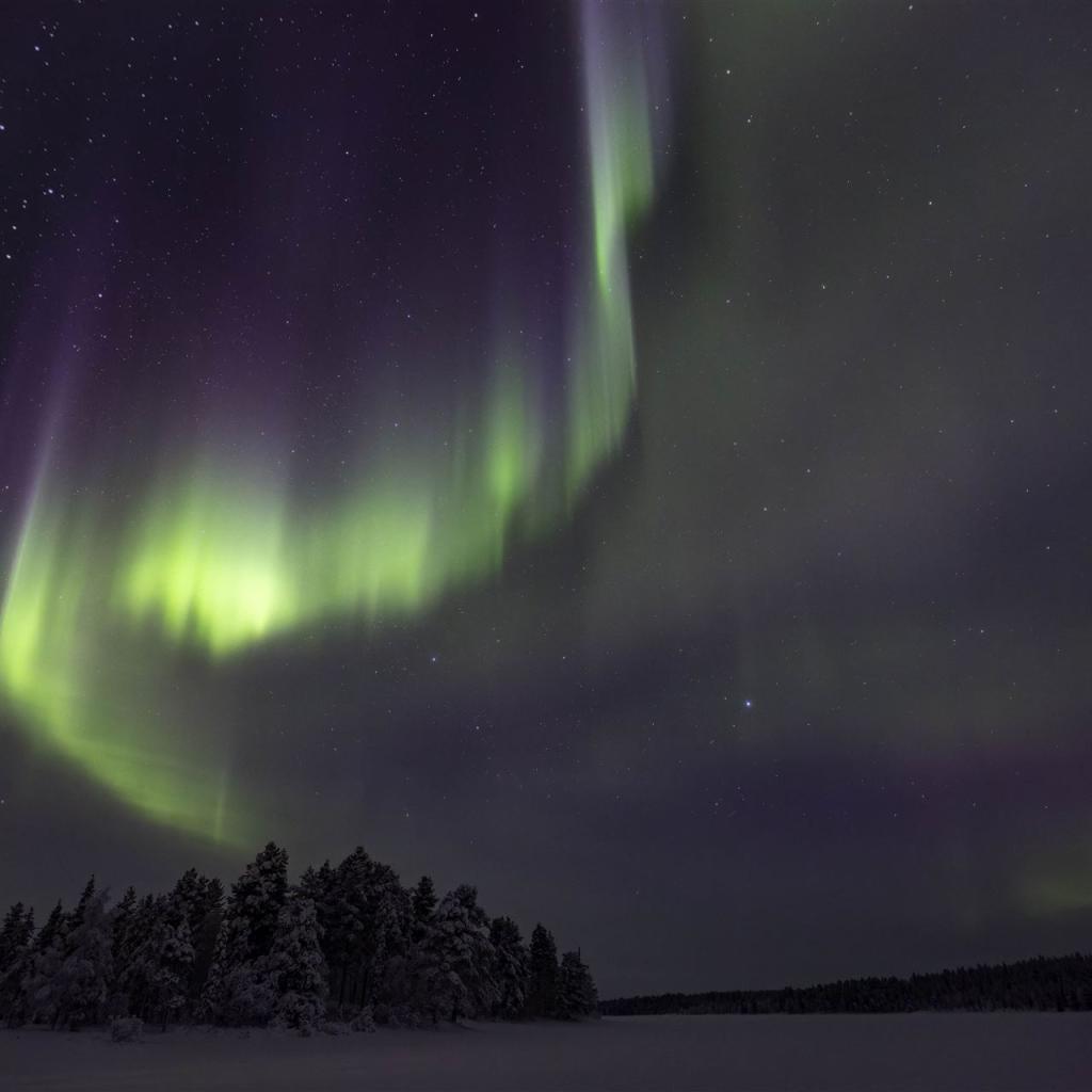 20260112-DSR_2748-CR2_DxO_DeepPRIME