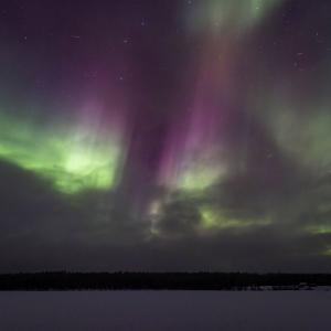 20250227-DSR_7872-CR2_DxO_DeepPRIME