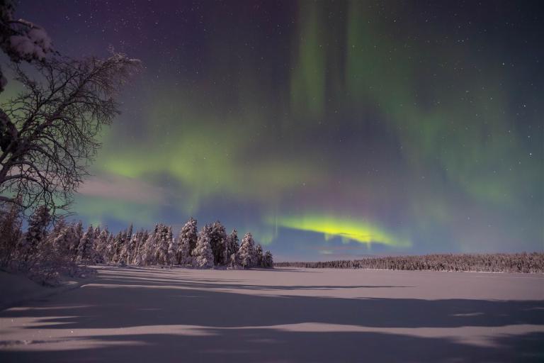 DSR_1076-CR2_DxO_DeepPRIME