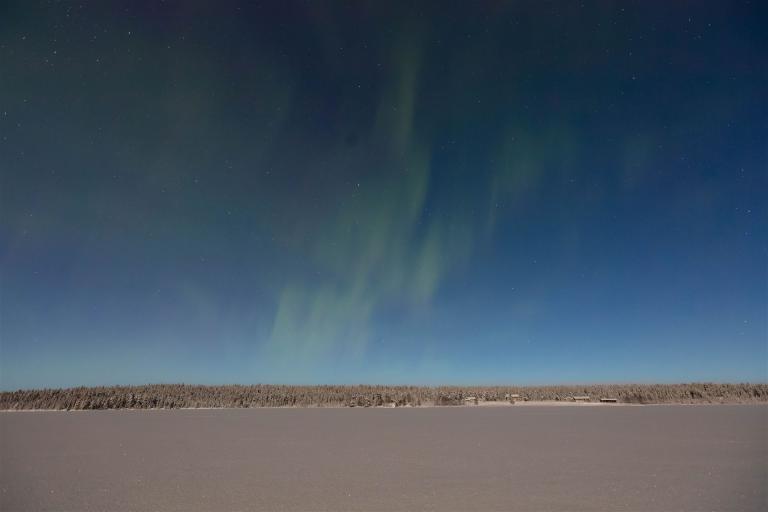 24. Januar 2024-DSR_9609-CR2_DxO_DeepPRIME