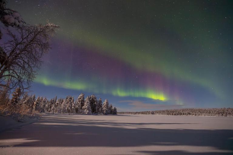 DSR_1215-CR2_DxO_DeepPRIME