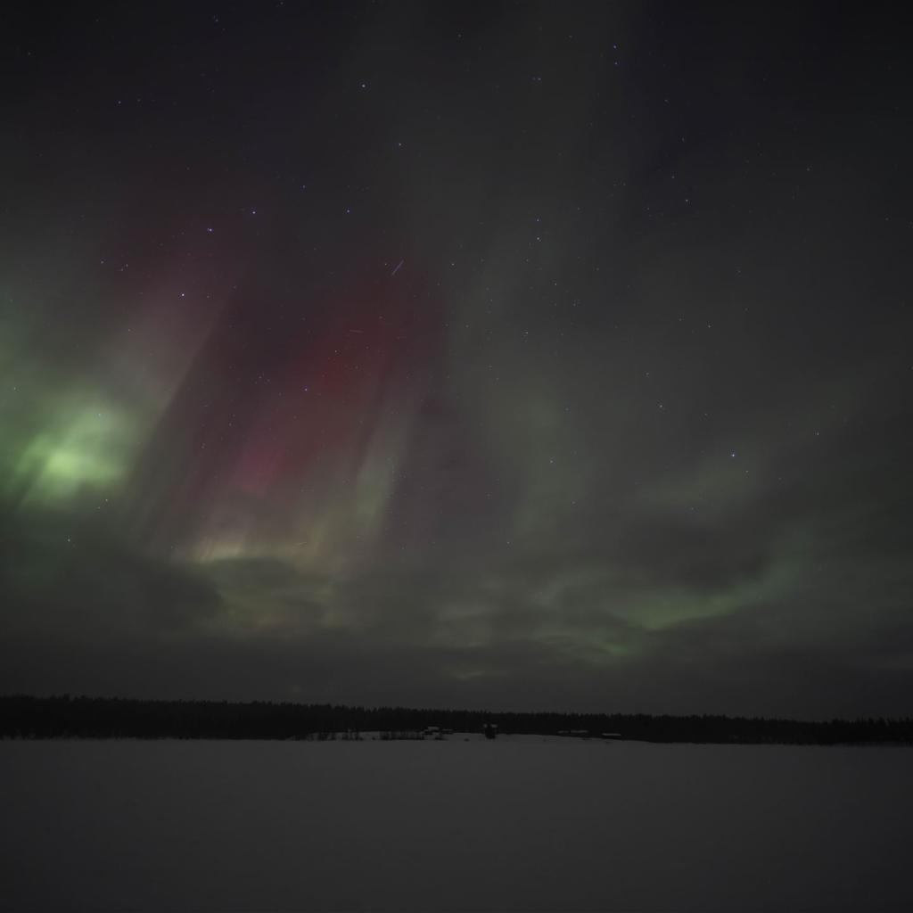 20250227-DSCF3540-RAF_DxO_DeepPRIME