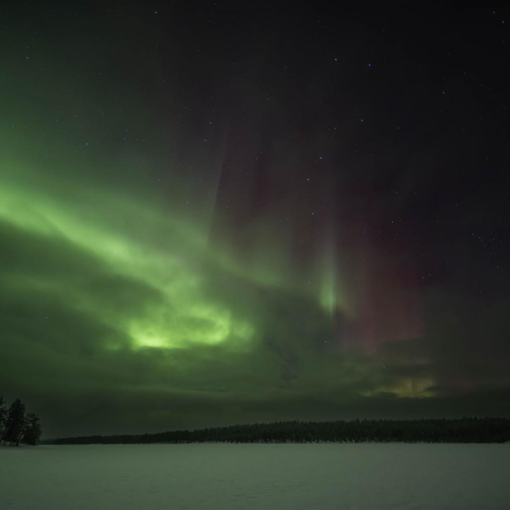 20250227-DSCF3557-RAF_DxO_DeepPRIME