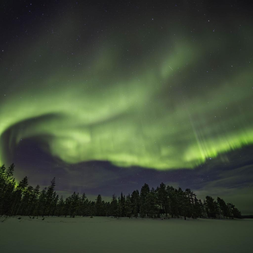 20250227-DSCF3638-RAF_DxO_DeepPRIME