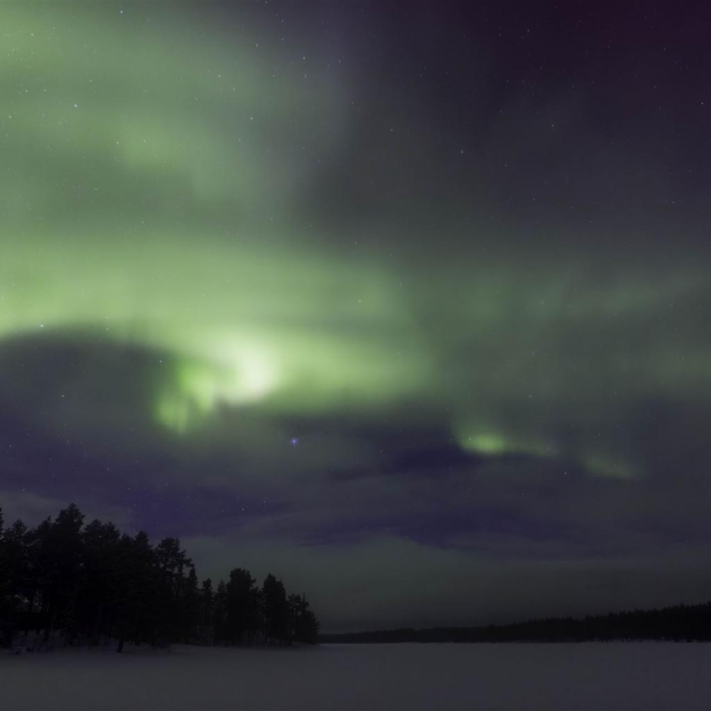 20250227-DSR_8019-CR2_DxO_DeepPRIME