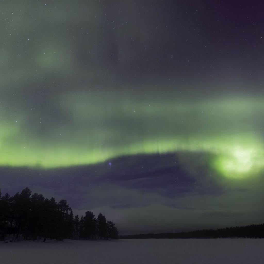 20250227-DSR_8032-CR2_DxO_DeepPRIME