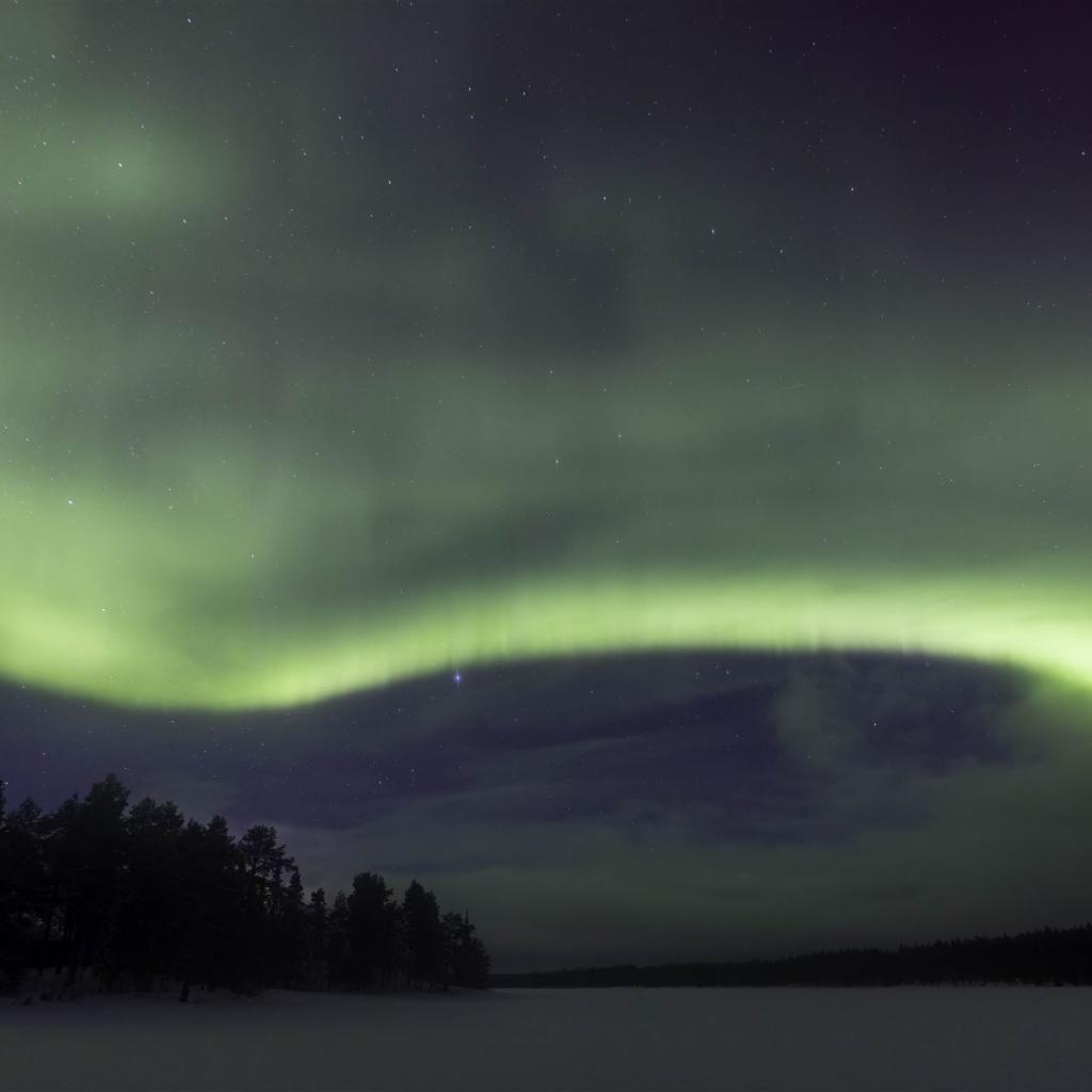 20250227-DSR_8041-CR2_DxO_DeepPRIME