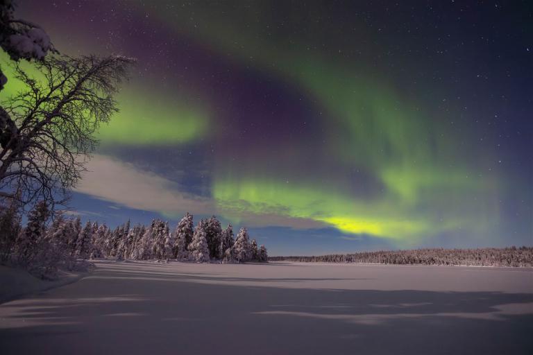 DSR_0979-CR2_DxO_DeepPRIME