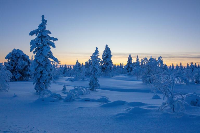 24. Januar 2024-DSR_0147