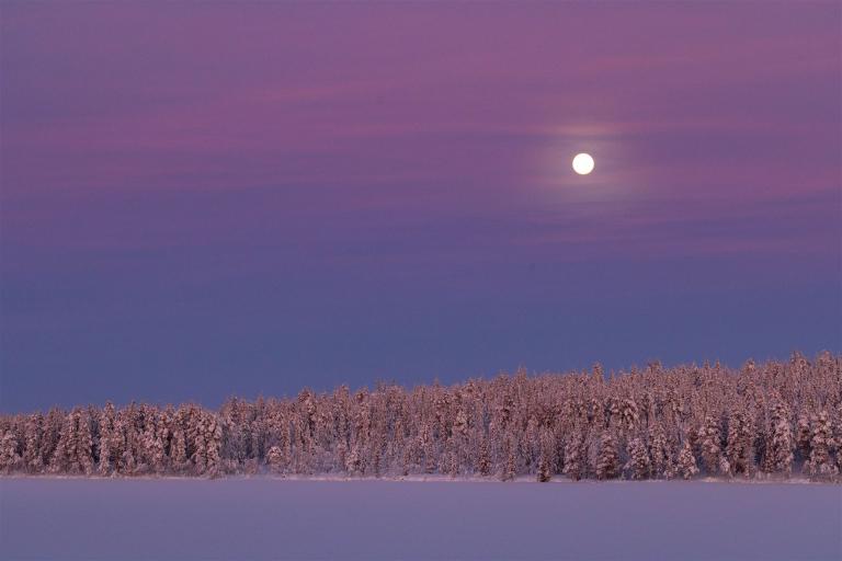 25. Januar 2024-3L9A8377